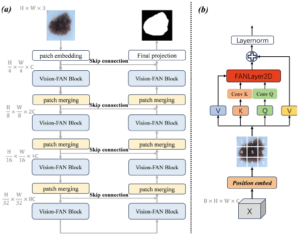 FAN-Unet architecture and the Vision-FAN block.